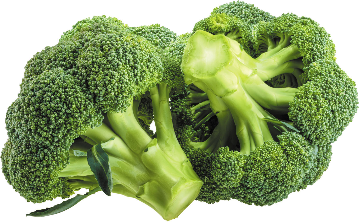 How to Properly Steam Broccoli: 10 Effective Methods for Perfect Results in 2025