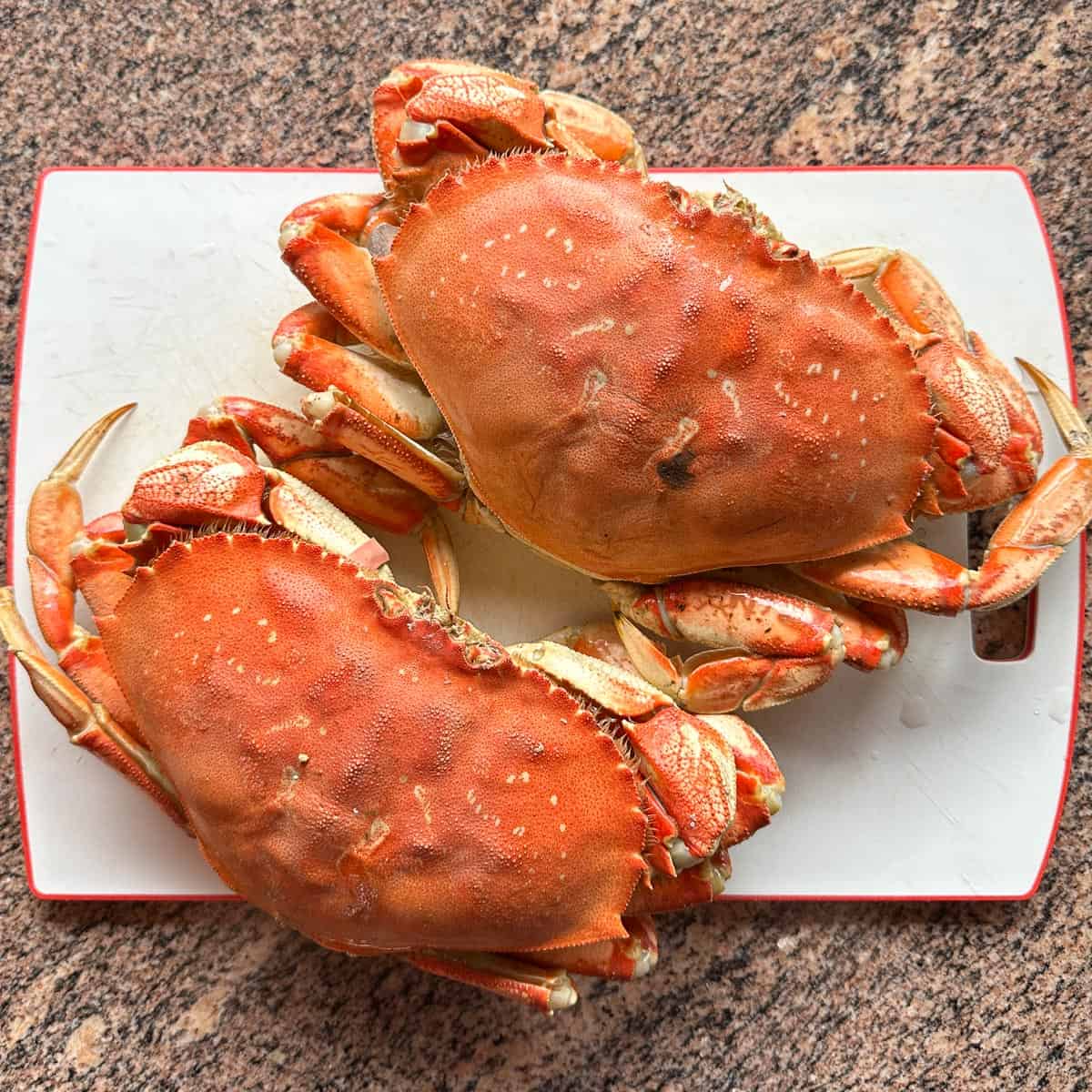 Cooking Dungeness Crab