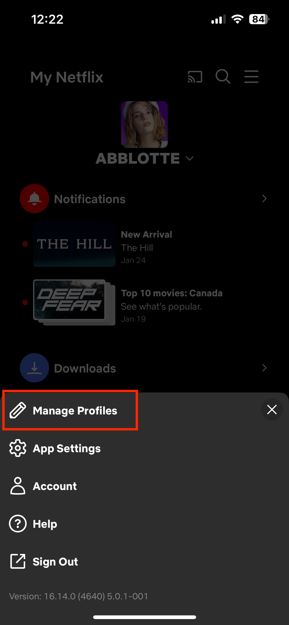 Netflix Account Management