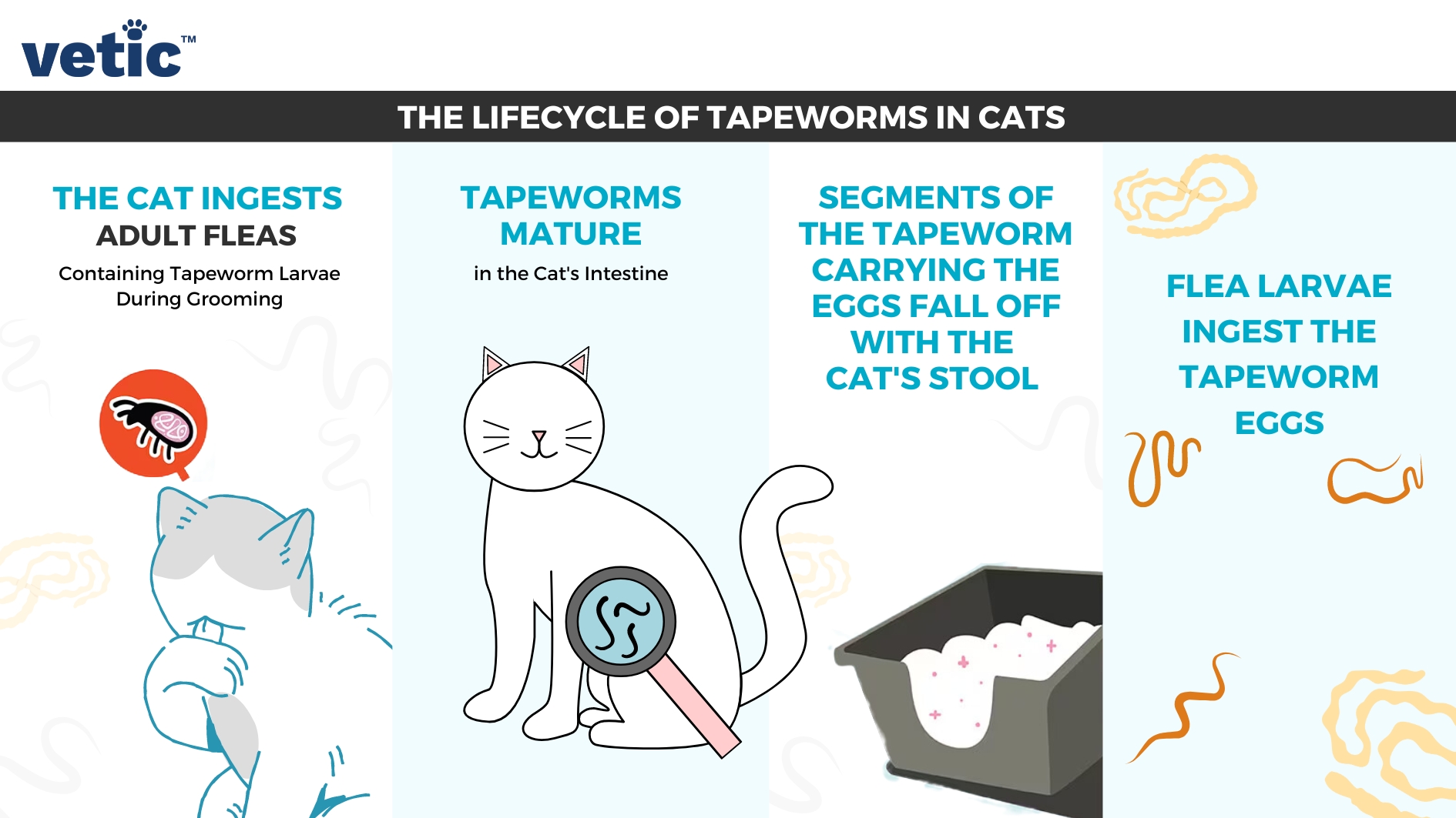 Effective Ways to Treat Worms in Cats: Comprehensive Guide for 2025