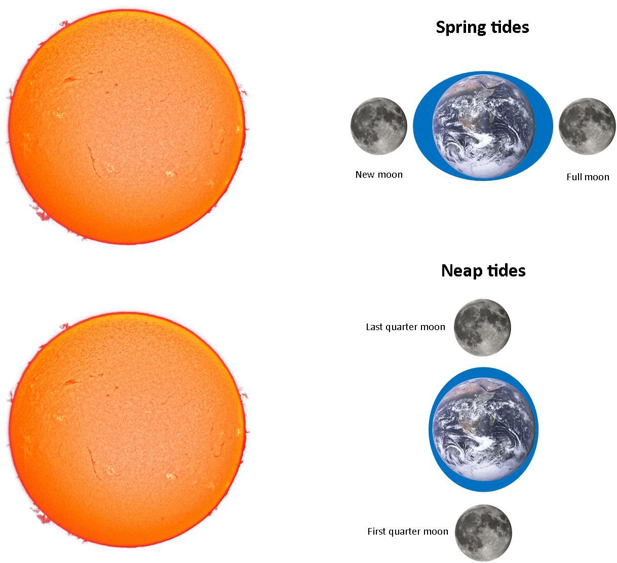 How to Effectively Prepare for a Moon Flight: Timeline and Tips for 2025