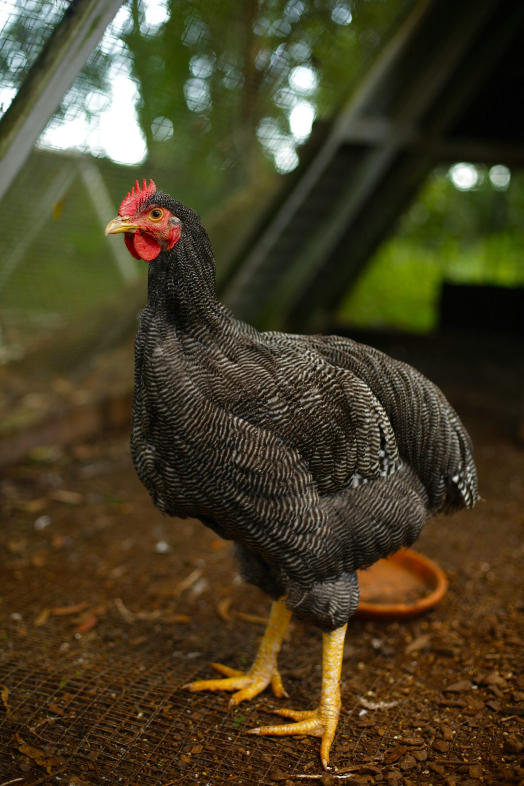 Smart Ways to Cook Bone-In Chicken Legs in an Air Fryer for Perfect Results in 2025