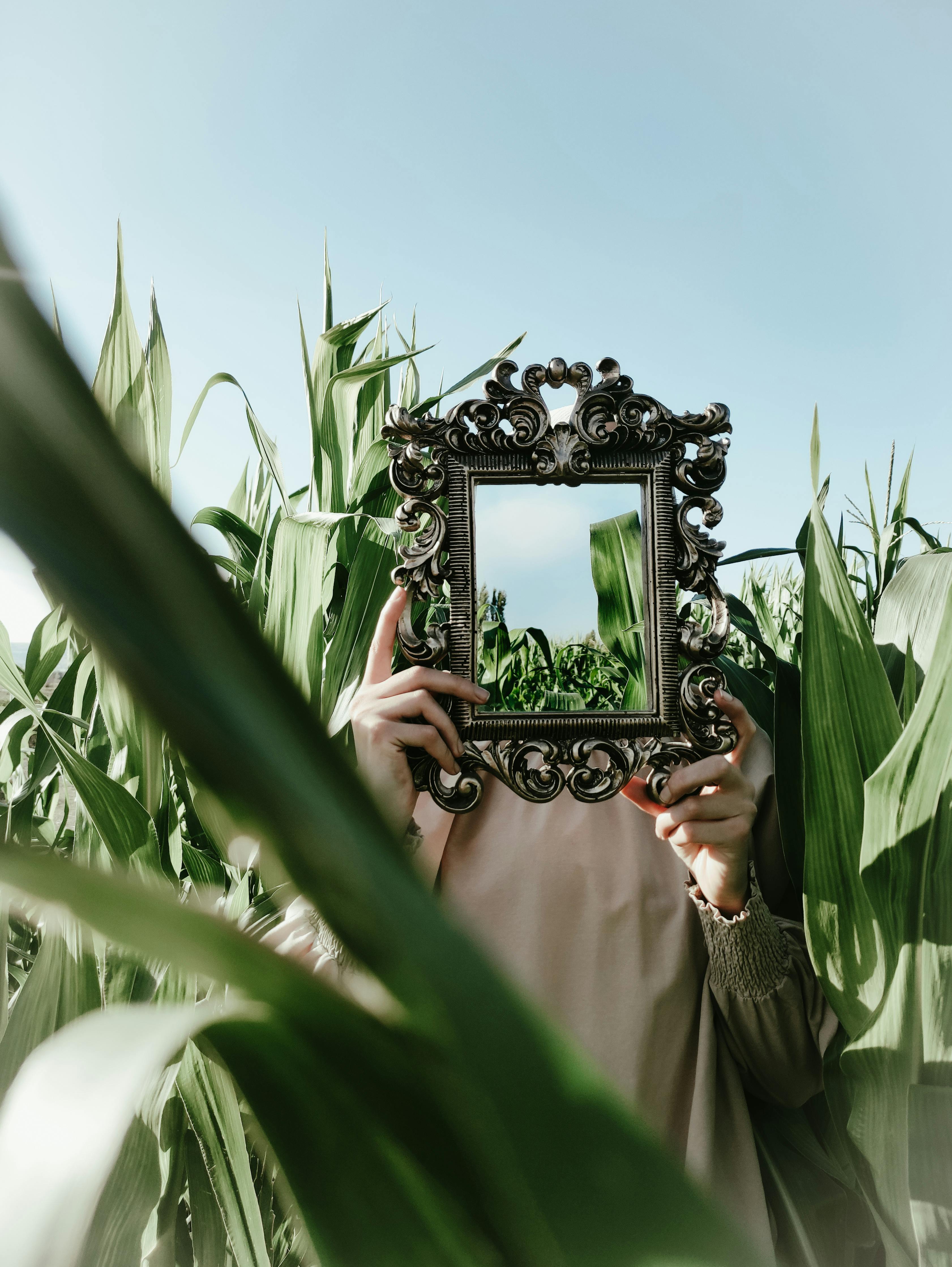 Decorative mirror framing techniques