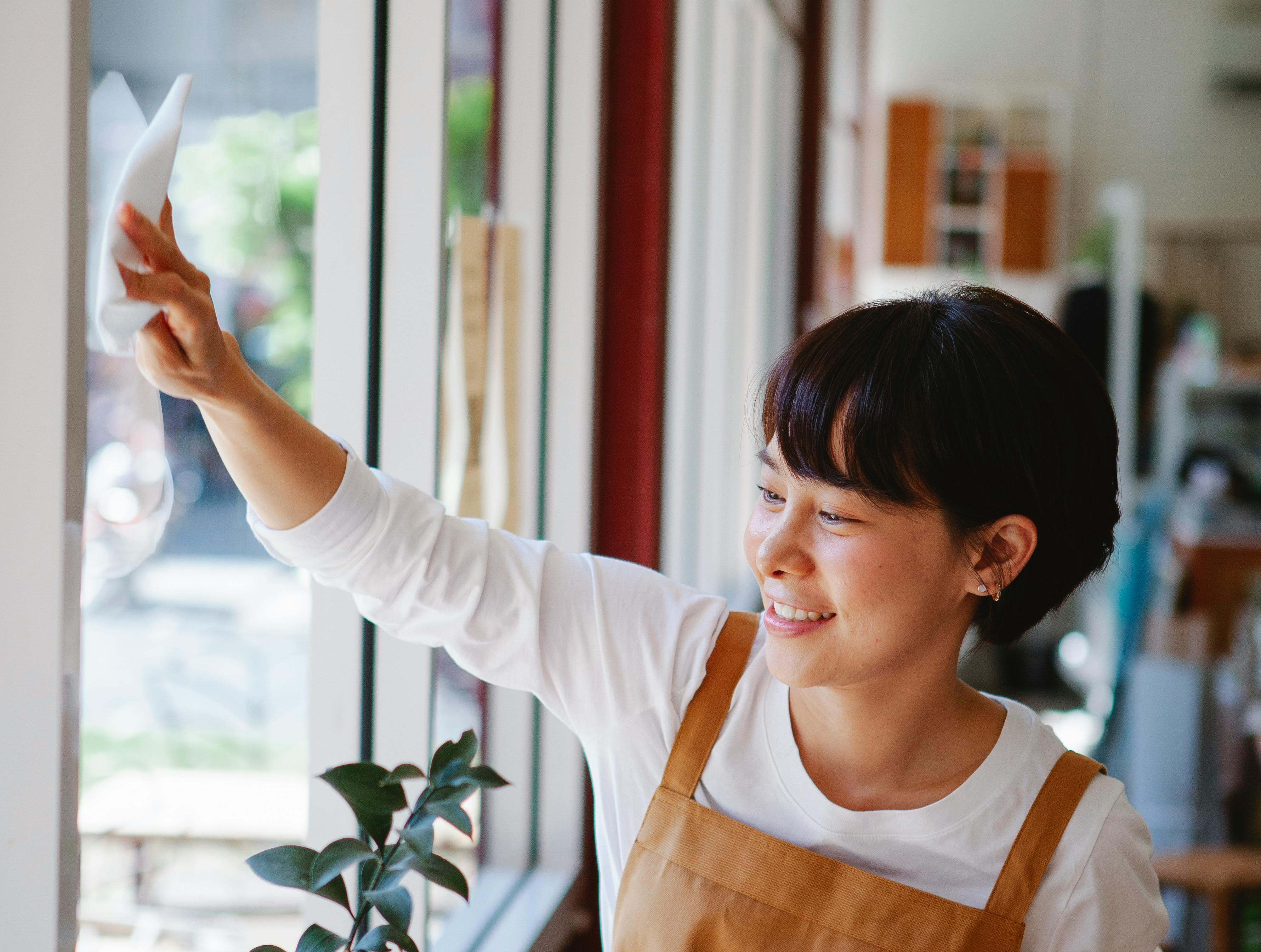 Window Cleaning Techniques